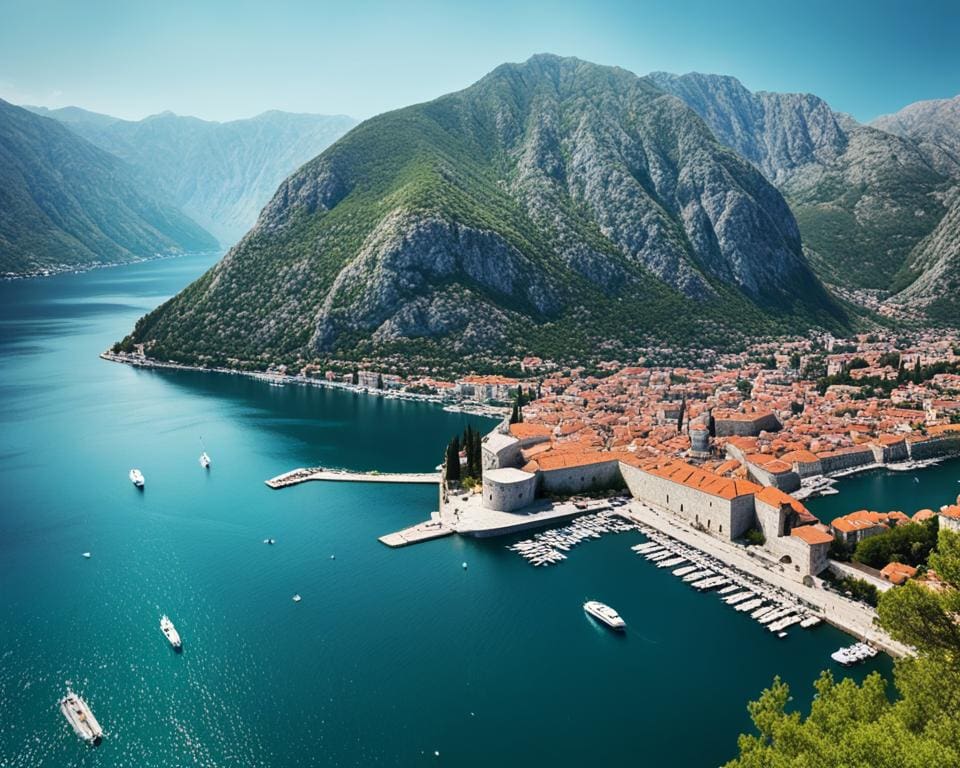 Kotor