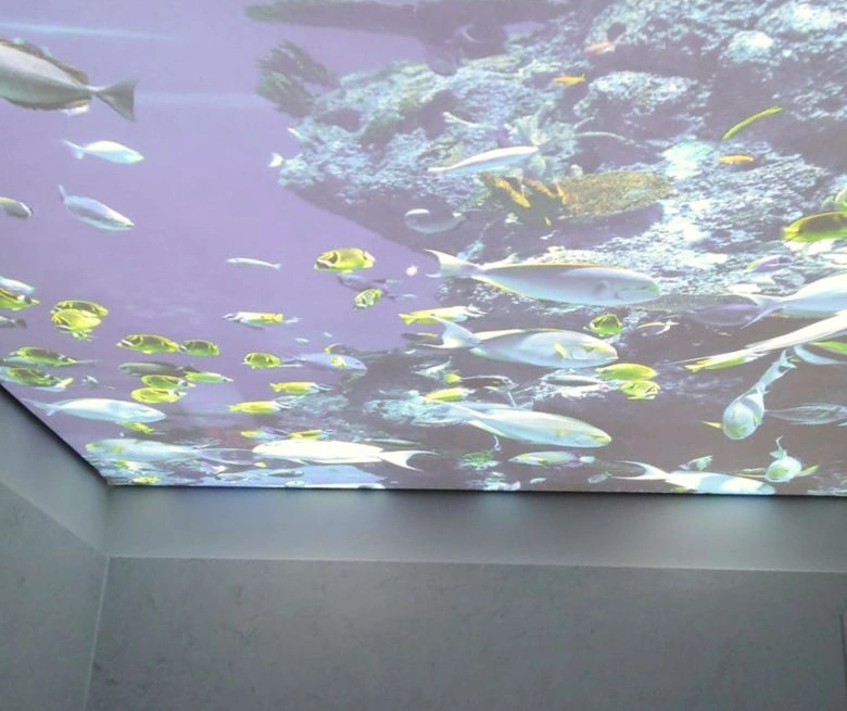 Wie wird eine Spanndecke montiert